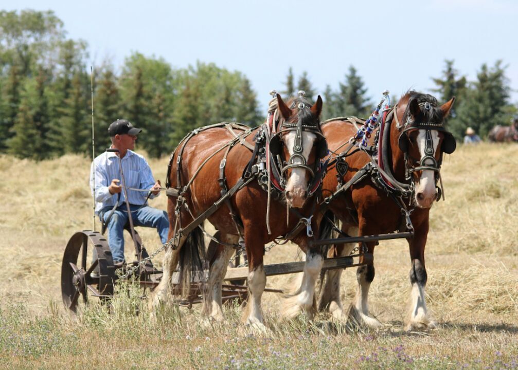 #19. North Dakota